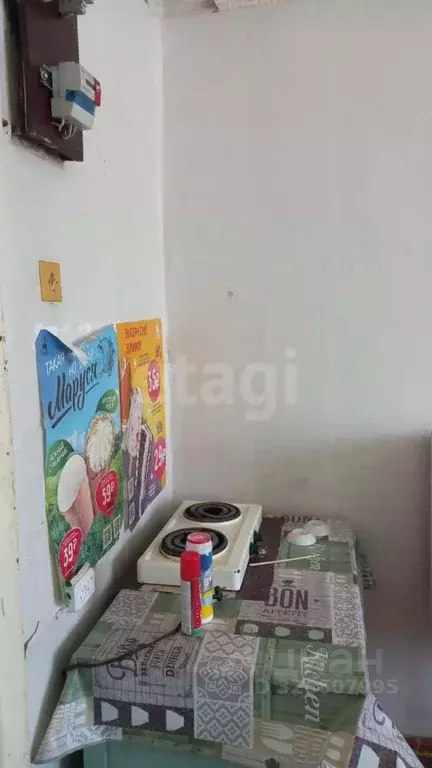 1-к кв. Алтайский край, Бийск пер. Владимира Мартьянова, 39/1 (12.4 м) - Фото 1