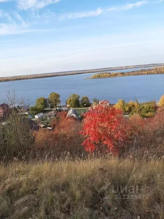 Участок в Нижегородская область, Лысковский район, с. Бармино Полевая ... - Фото 1