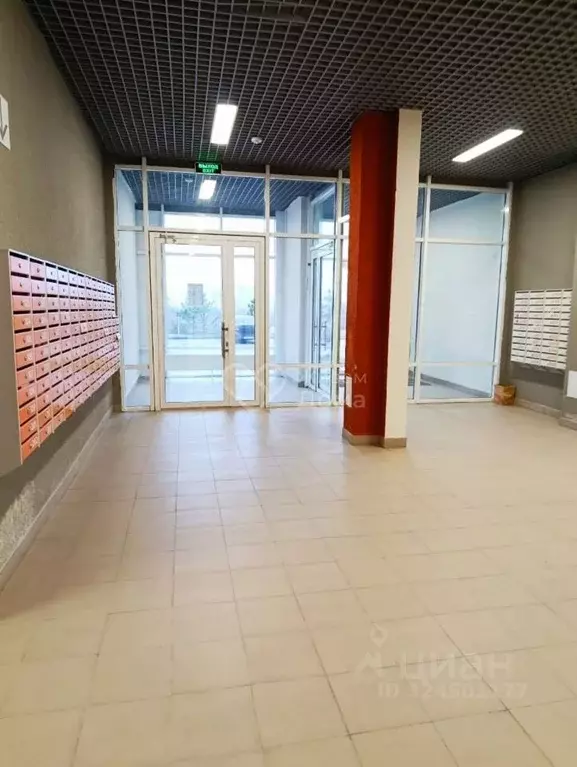 Студия Волгоградская область, Волгоград Родниковая ул., 39 (20.8 м) - Фото 2