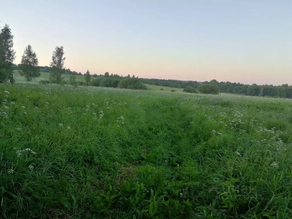 Участок в Псковская область, Порховский муниципальный округ, д. ... - Фото 0
