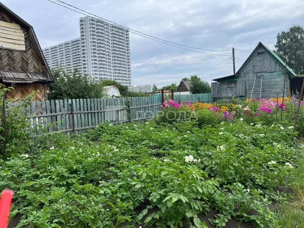 Дом в Новосибирская область, Новосибирский район, Верх-Тулинский ... - Фото 0