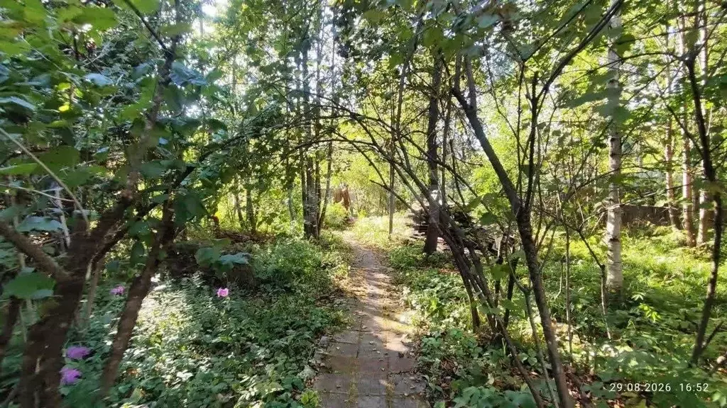 Дом в Московская область, Одинцовский городской округ, д. Сивково, ... - Фото 1