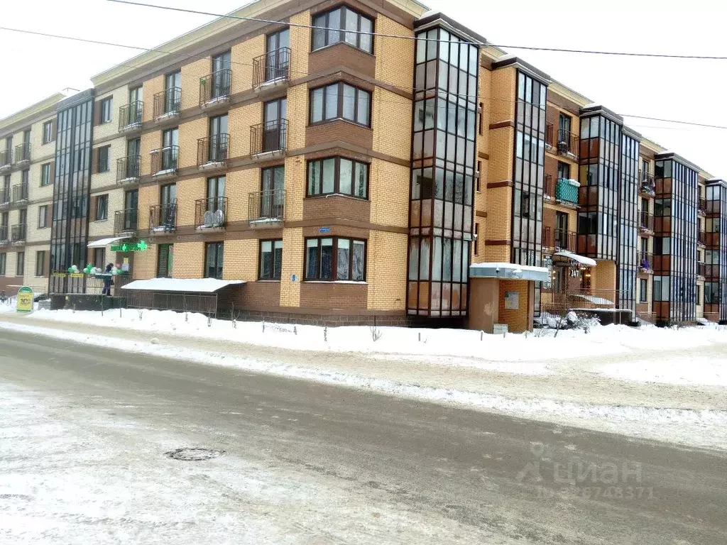 Студия Ленинградская область, Сертолово Всеволожский район, ул. ... - Фото 2