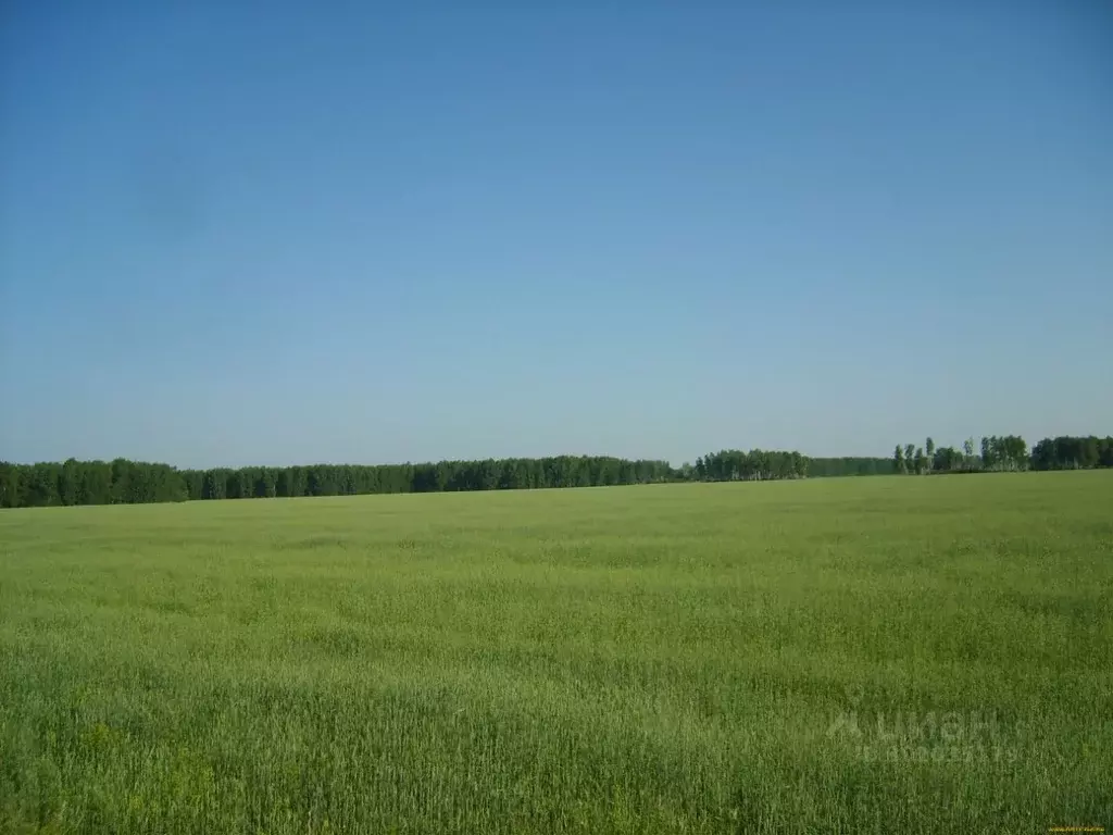Участок в Курская область, Дмитриевский район, Дерюгинский сельсовет  ... - Фото 0