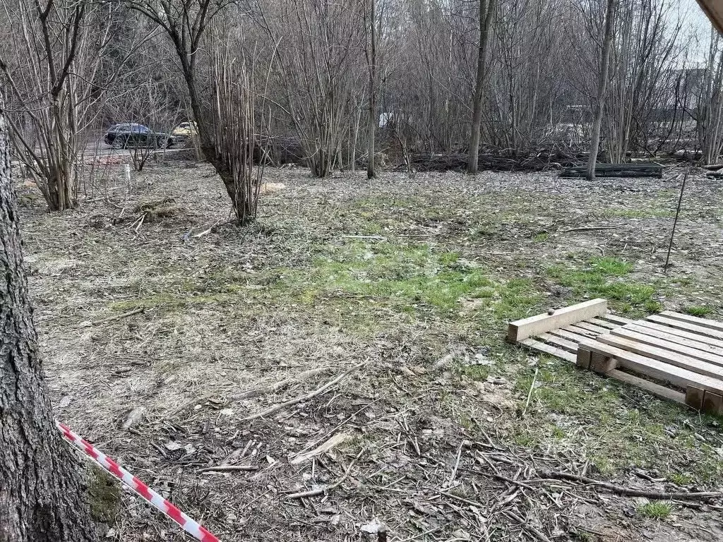 Участок в Московская область, Мытищи городской округ, пос. Трудовая, ... - Фото 1