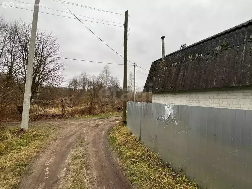 Участок в посёлок Новые Дарковичи, СДТ Болва (5.5 м) - Фото 2