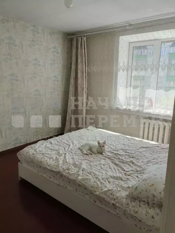 3-к кв. Новосибирская область, Новосибирск ул. Немировича-Данченко, ... - Фото 0