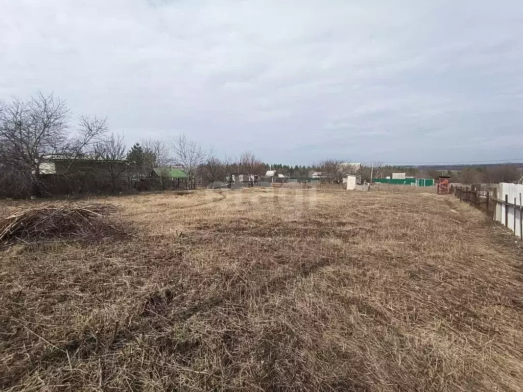 Участок в Белгородская область, Яковлевский муниципальный округ, Нива ... - Фото 1