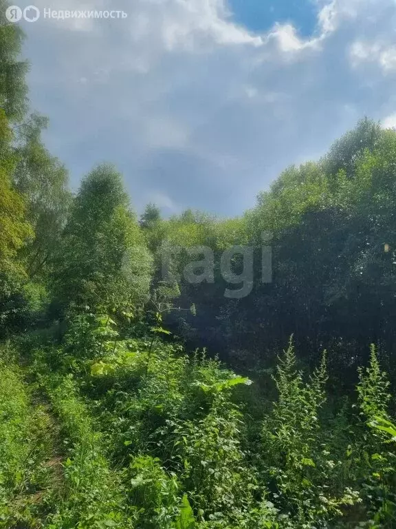 Участок в Калужская область, Жуковский муниципальный округ, село ... - Фото 1
