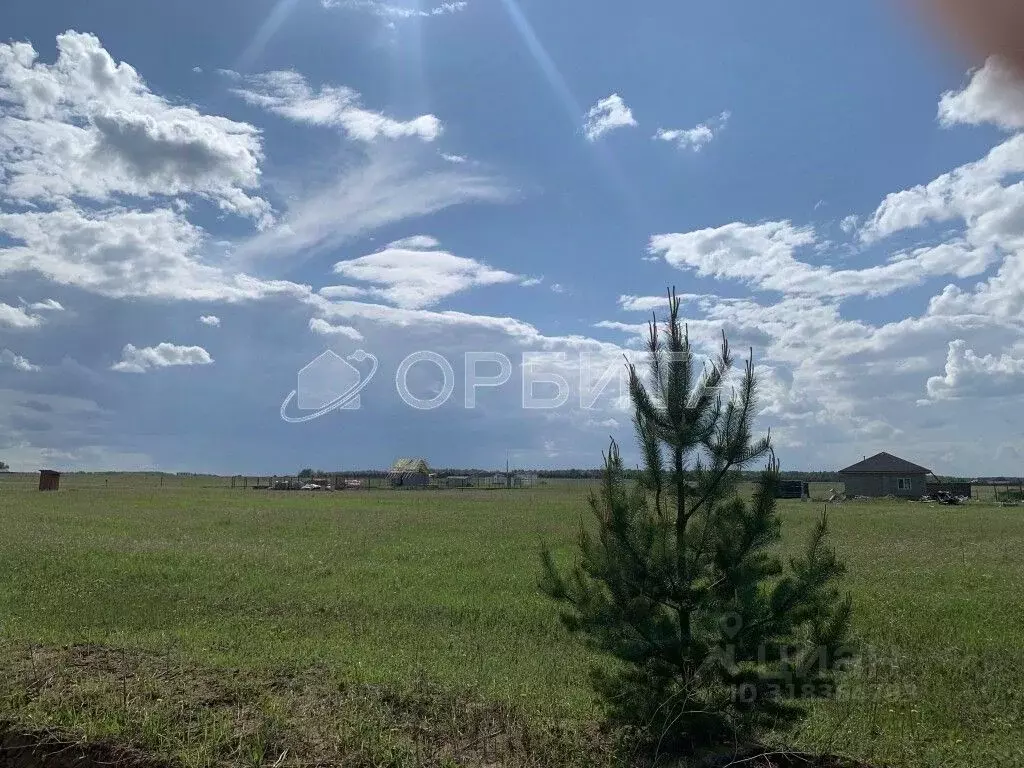 Участок в Тюменская область, Тюменский район, Новокаменский кп  (9.15 ... - Фото 1