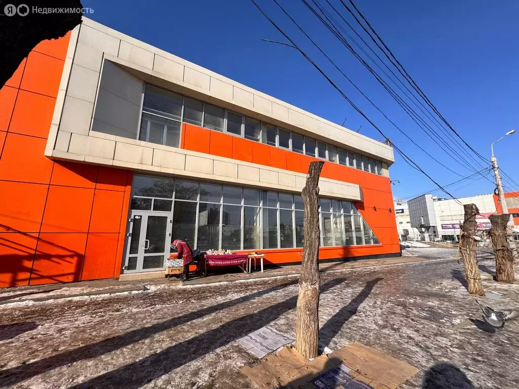 Помещение свободного назначения (294 м) - Фото 1