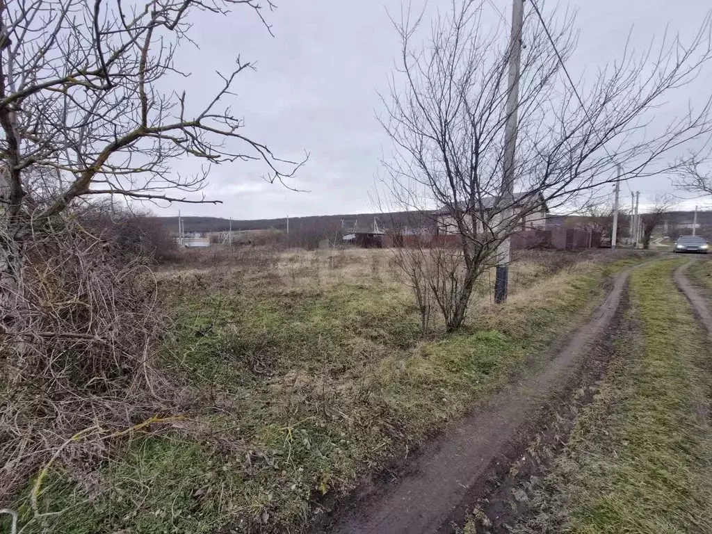 Участок в Краснодарский край, Анапа муниципальный округ, Куток хут. ... - Фото 2