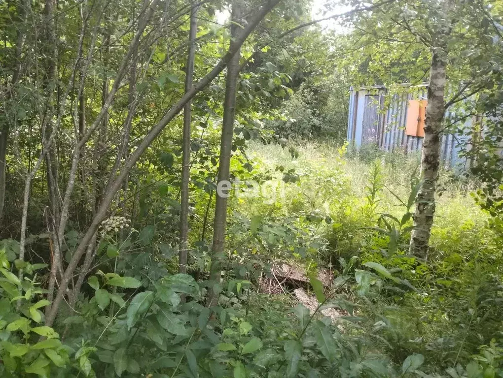 Участок в Ленинградская область, Всеволожский район, Куйвозовское ... - Фото 2