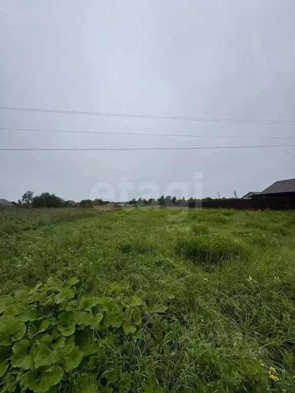 Участок в Ярославская область, Ярославский муниципальный округ, д. ... - Фото 1