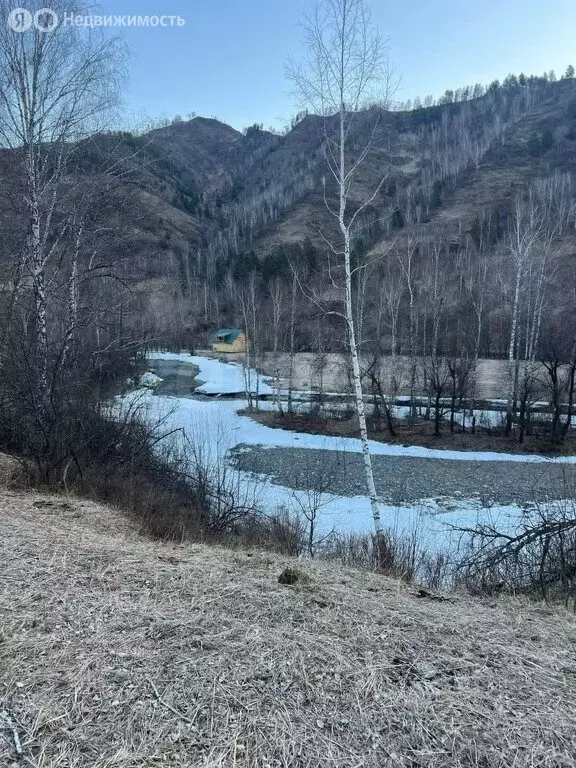 Участок в Чемальский район, Чемальский тракт (24.01 м) - Фото 0