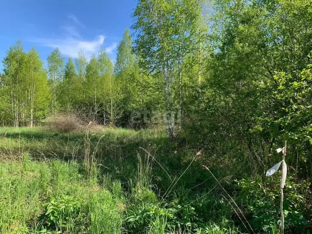 Участок в Свердловская область, Екатеринбург тракт Московский (12.8 ... - Фото 1