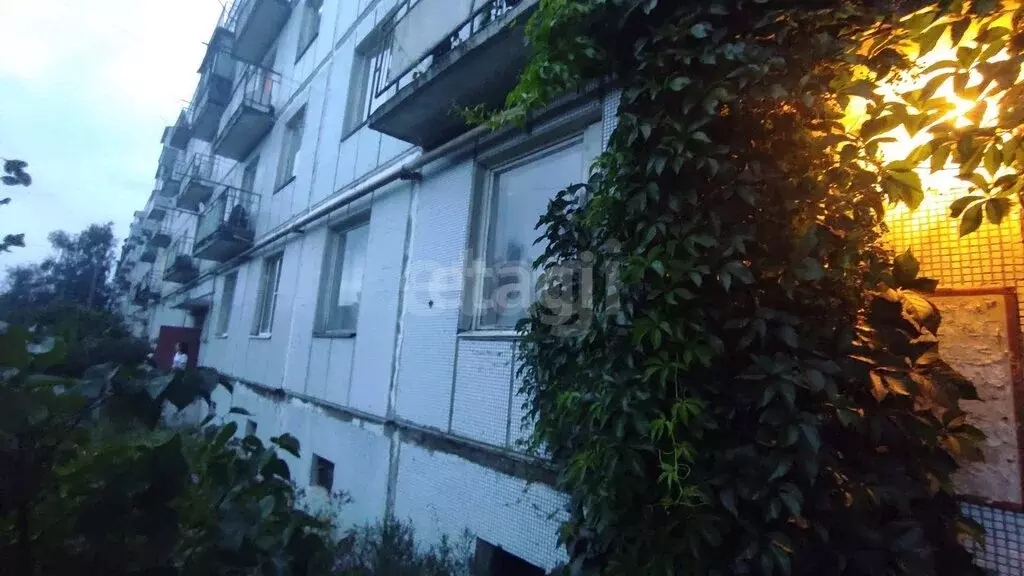 2-комнатная квартира: посёлок Туношна-городок 26, 16 (48.5 м) - Фото 2