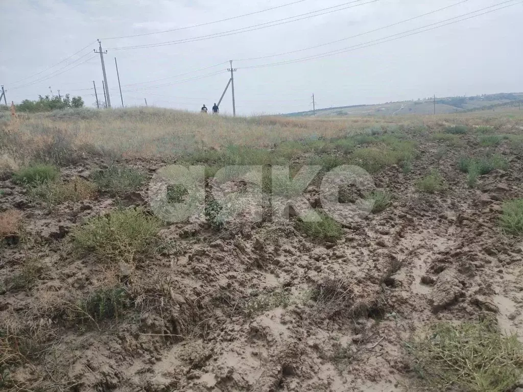 Участок в Волгоградская область, Городищенский район, Царицынское ... - Фото 2