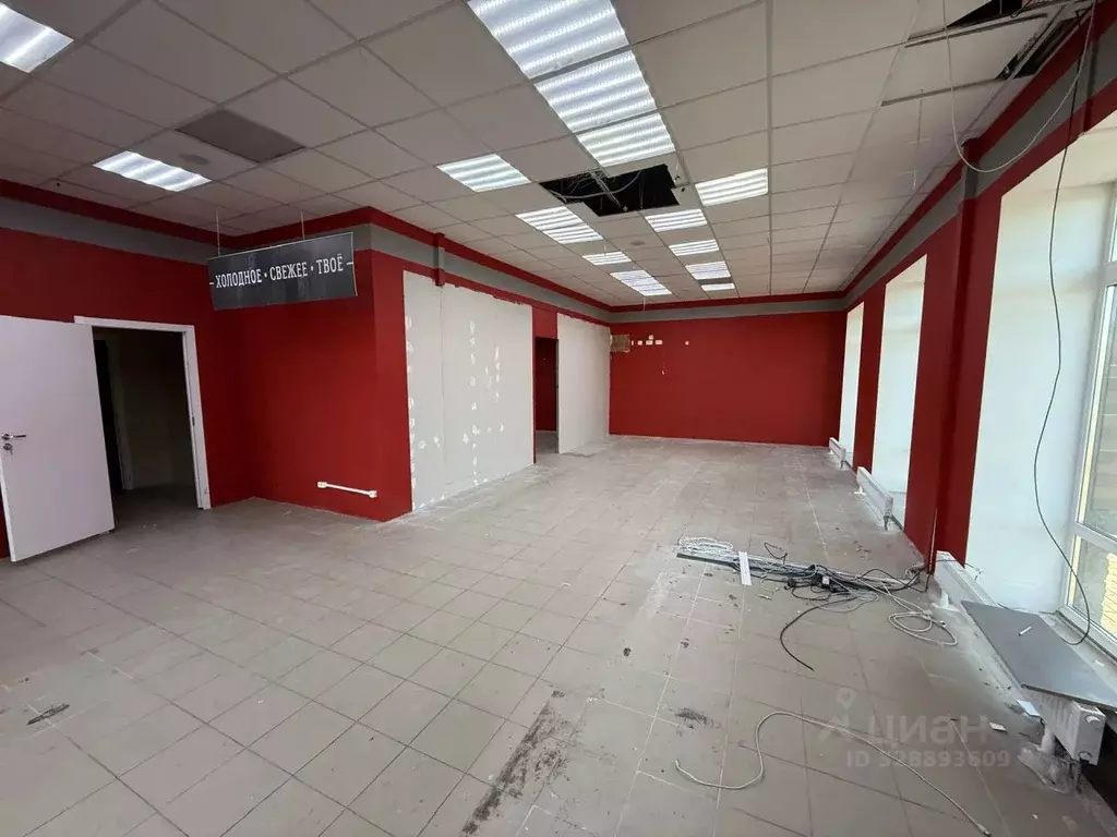 Помещение свободного назначения в Ленинградская область, Ломоносовский ... - Фото 2