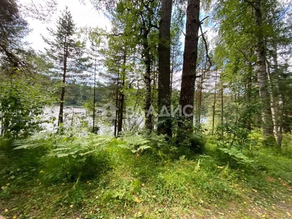 Участок в Алтай, Турочакский район, с. Тулой  (100.0 сот.) - Фото 0