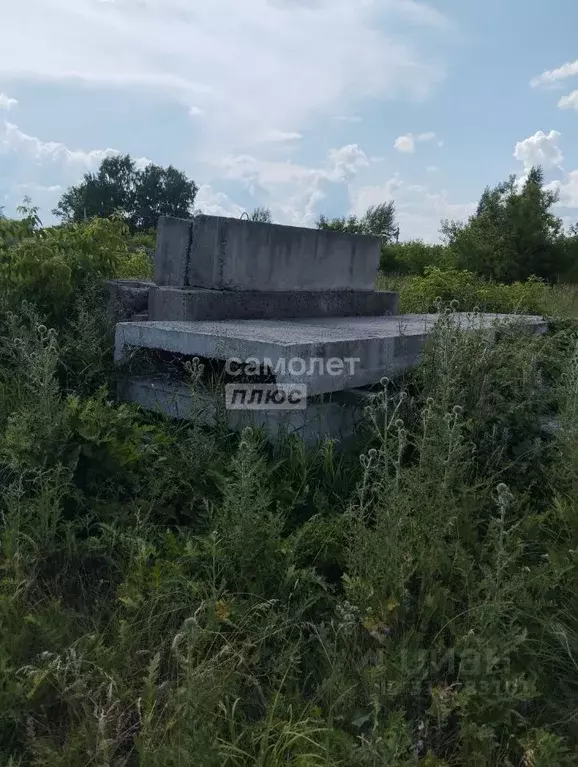 Участок в Новосибирская область, Новосибирский район, Ярковский ... - Фото 0