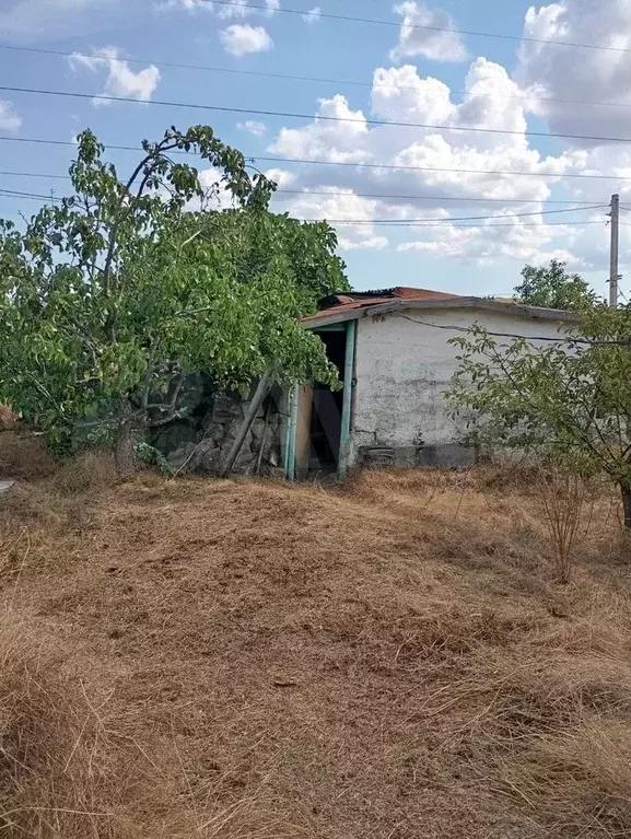 Участок 4 сот. (СНТ, ДНП) - Фото 1