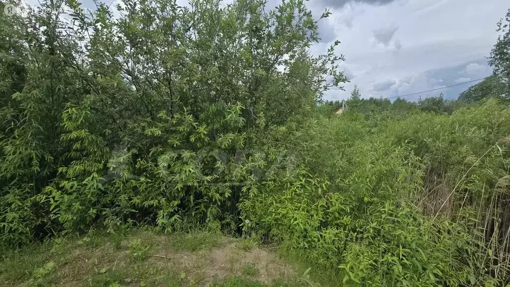 Участок в Тюмень, Центральный округ (10 м) - Фото 0