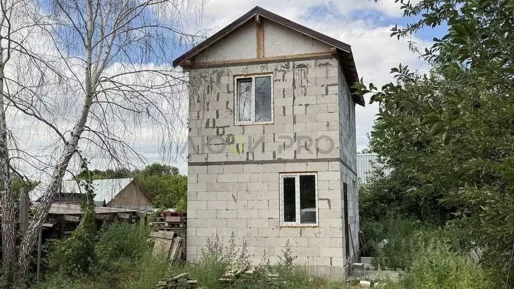 Дом в Алтайский край, Барнаул ул. Правый берег Пруда, 274 (50 м) - Фото 1