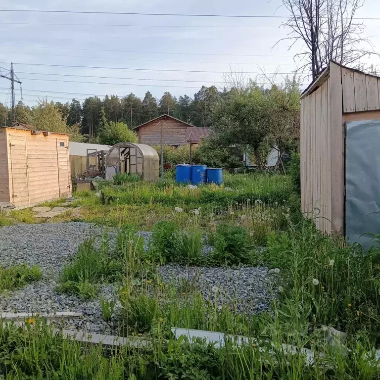 Участок в Свердловская область, Екатеринбург Малахит КС, ул. Вишневая ... - Фото 1