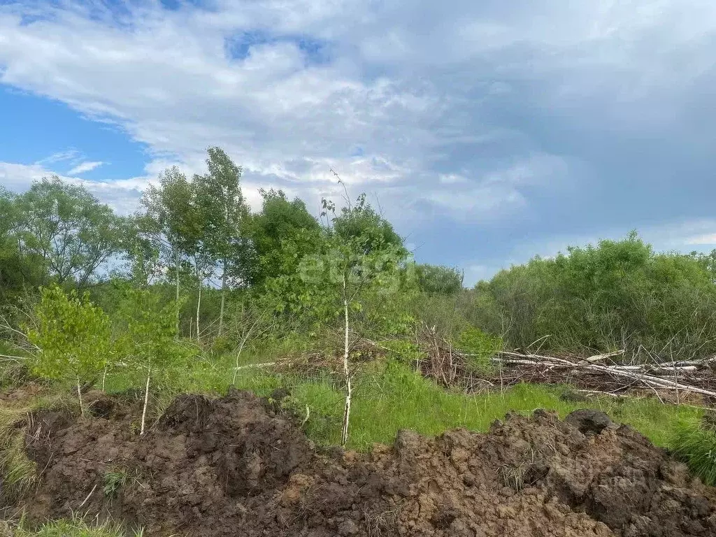 участок в амурская область, благовещенск (13.8 сот.) - Фото 0