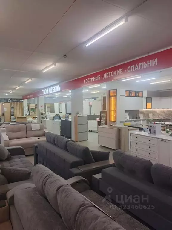 Торговая площадь в Новосибирская область, Новосибирск ул. Петухова, 69 ... - Фото 2