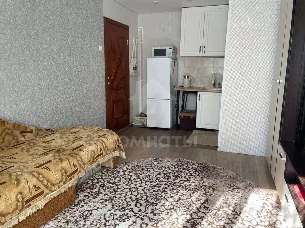 Студия Воронежская область, Воронеж ул. Хользунова, 68 (20.0 м) - Фото 1