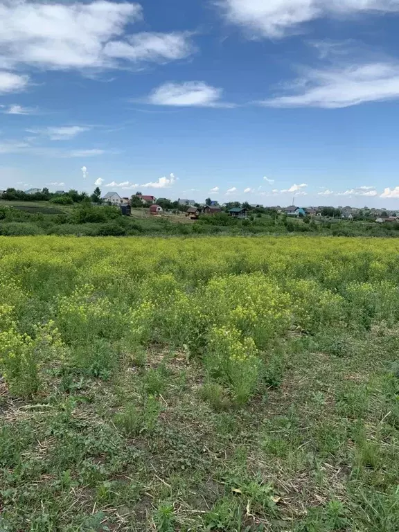 Участок в Алтайский край, Белокуриха Камчатская ул. (10.0 сот.) - Фото 2