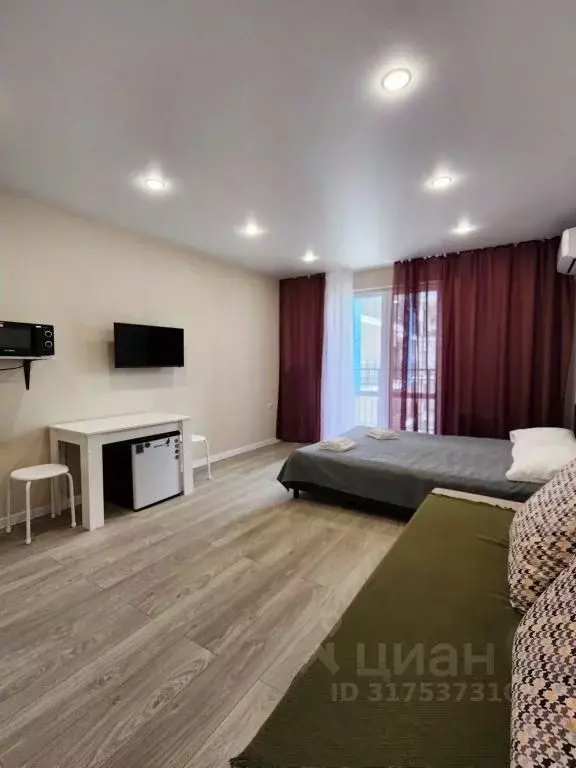 1-к кв. Краснодарский край, Сочи ул. Искры, 88к3 (28.0 м) - Фото 1