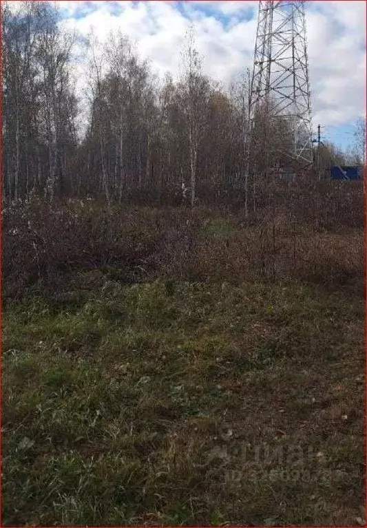 Участок в Челябинская область, Сосновский муниципальный округ, с. ... - Фото 1