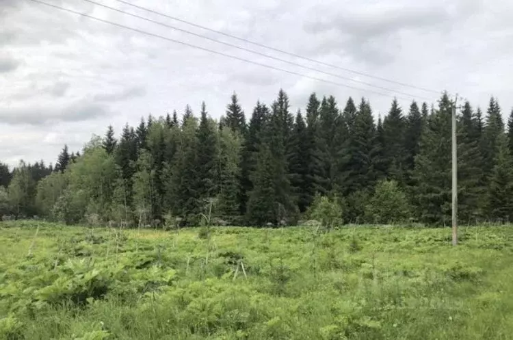 Участок в Пермский край, Краснокамский городской округ, с. Стряпунята  ... - Фото 0