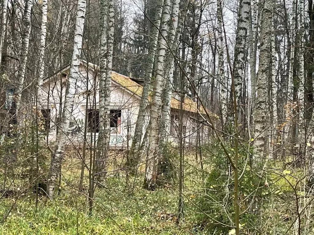 Помещение свободного назначения в Московская область, Пушкино ул. ... - Фото 0