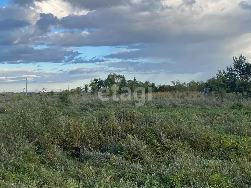 Участок в Амурская область, Благовещенский район, с. Волково  (14.0 ... - Фото 1