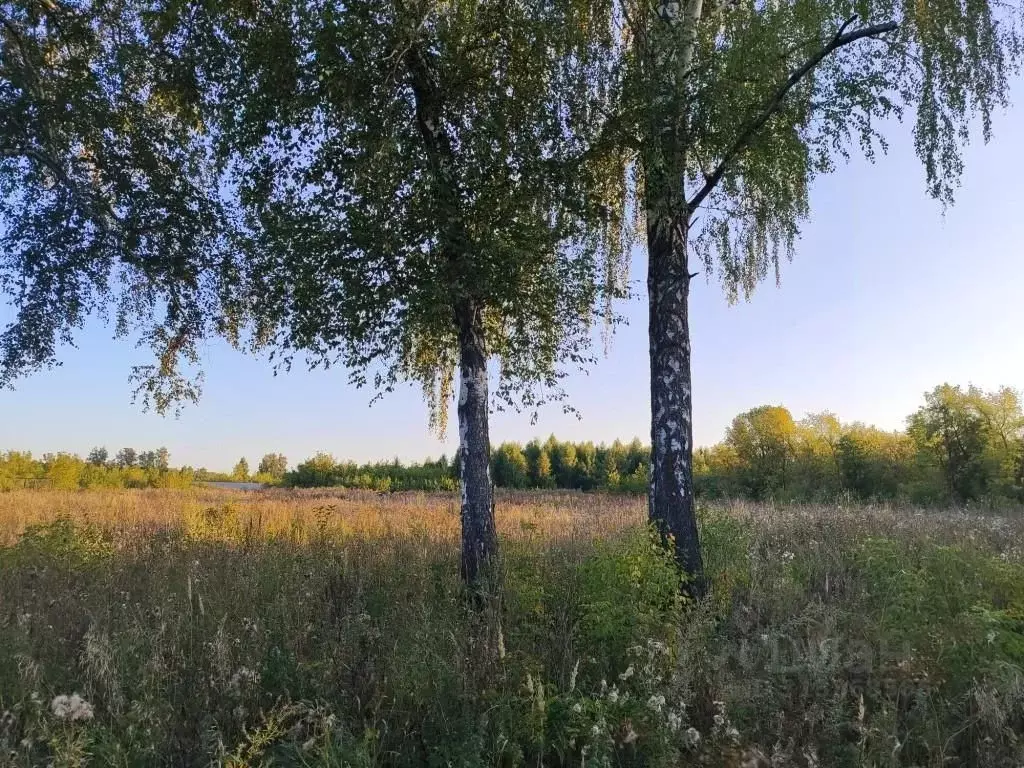 Участок в Пензенская область, Пенза Мясокомбинат мкр,  (101.0 сот.) - Фото 0