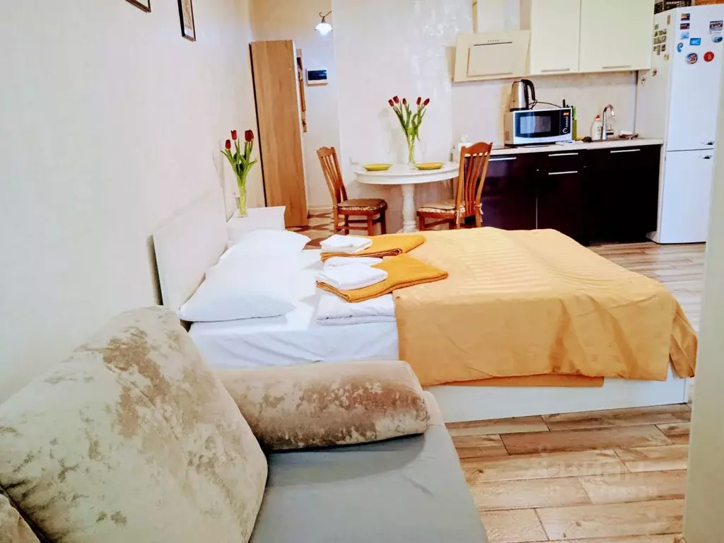 Студия Краснодарский край, Сочи Светлана мкр, ул. Депутатская, 10 ... - Фото 1