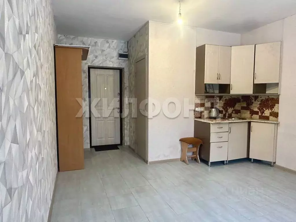 1-к кв. Новосибирская область, Новосибирск Пашино мкр, ул. Знаменская, ... - Фото 2