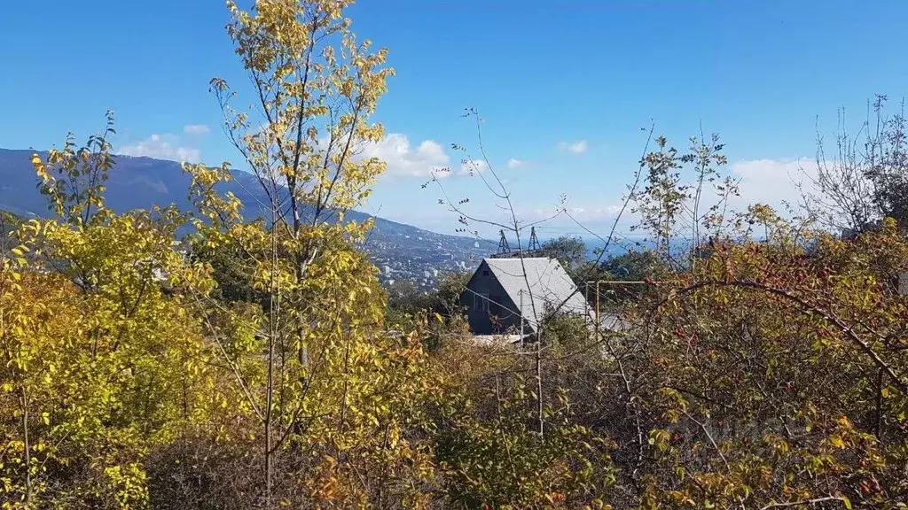 Участок в Крым, Ялта городской округ, Виноградное пгт 2 (15.3 сот.) - Фото 0