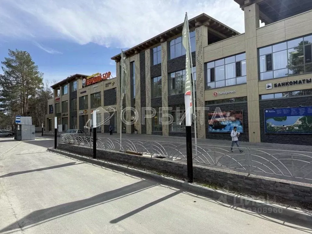 Участок в Тюменская область, Нижнетавдинский район, Душевное садовое ... - Фото 1