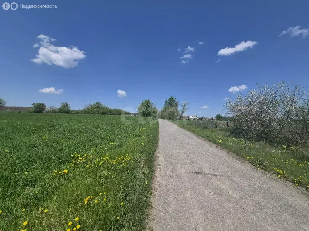 Участок в село Русская Халань, улица Ленина (35 м) - Фото 1