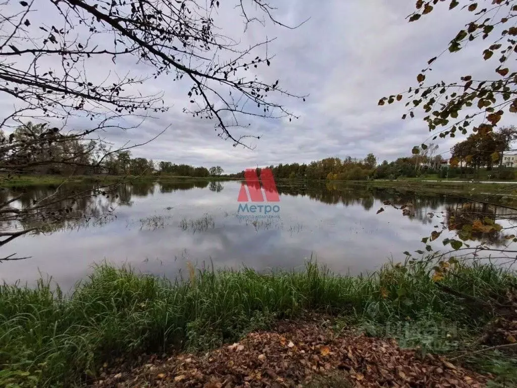 Участок в Ярославская область, Некрасовское рп  (15.0 сот.) - Фото 1