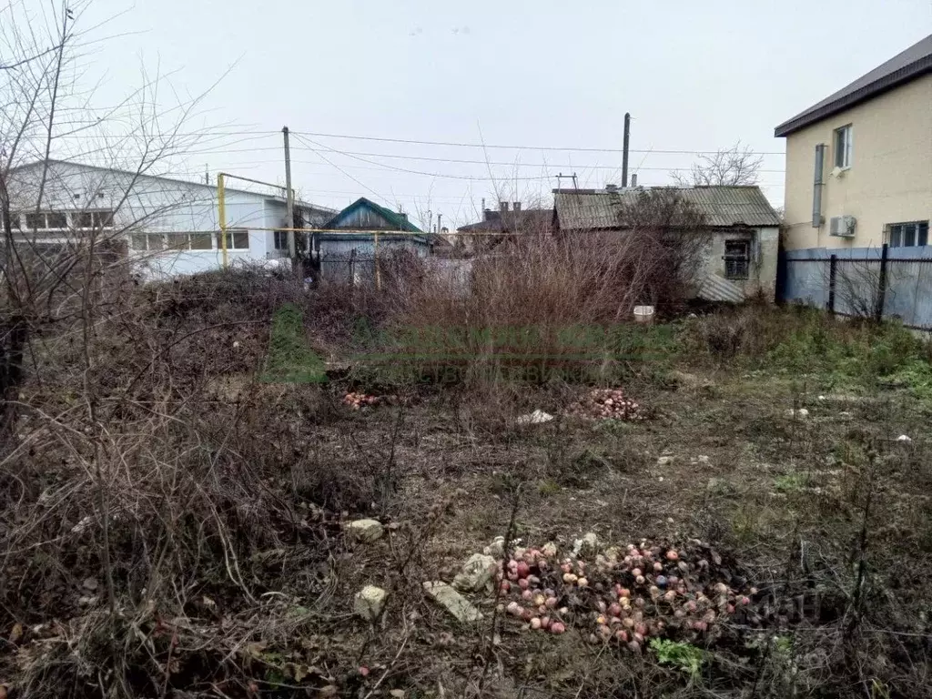 Участок в Саратовская область, Саратов Березка-3 СНТ, 58 (6.8 сот.) - Фото 2