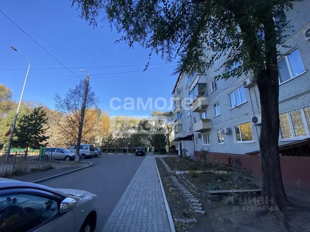 1-к кв. Амурская область, Благовещенск ул. Чайковского, 110 (35.4 м) - Фото 2