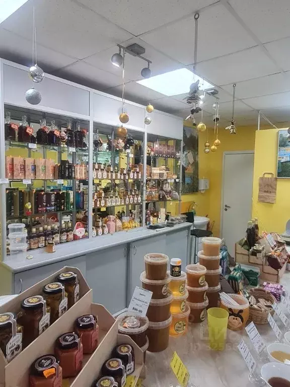 Торговая площадь в Новгородская область, Великий Новгород просп. Мира, ... - Фото 2