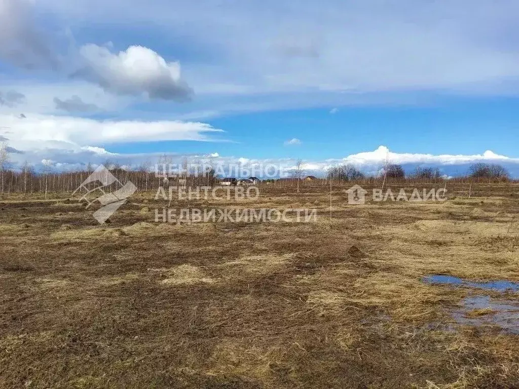 Участок в Рязанская область, Захаровский муниципальный округ, с. Осово ... - Фото 1