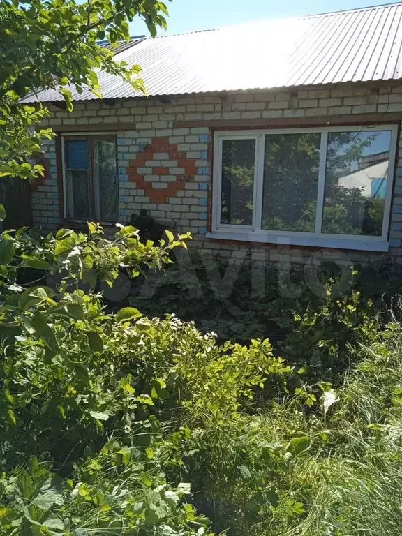 Дом 41,5 м на участке 3 сот. - Фото 1